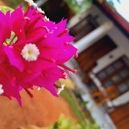 The Cozy Cottage ハバラナ エクステリア 写真