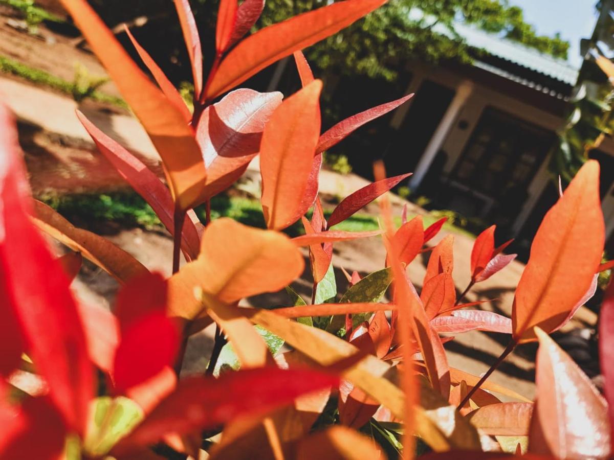 The Cozy Cottage ハバラナ エクステリア 写真